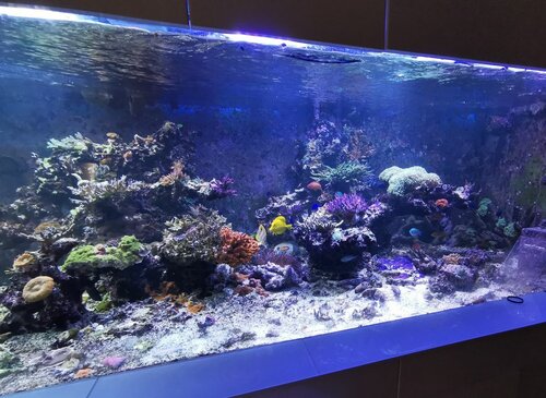FTS H1.jpg