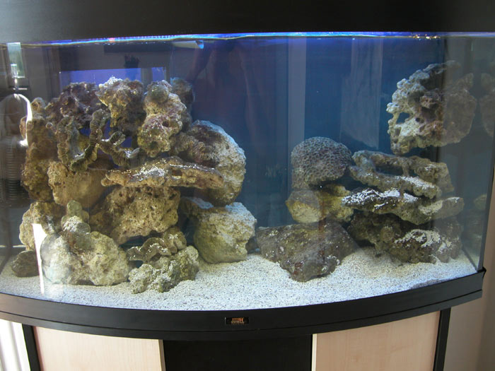 Akvariet-uden-dyr-dervirker.jpg