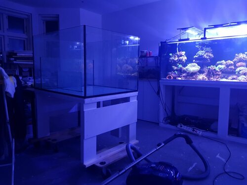 20210222_184608.jpg
