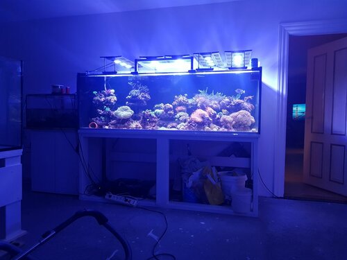 20210222_184613.jpg
