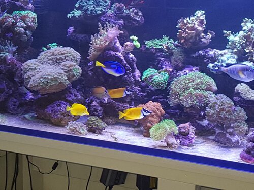 20210313_151546.jpg
