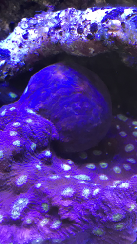 98B62760-D639-4CC6-9DF4-B96B8ACB6AC2.png