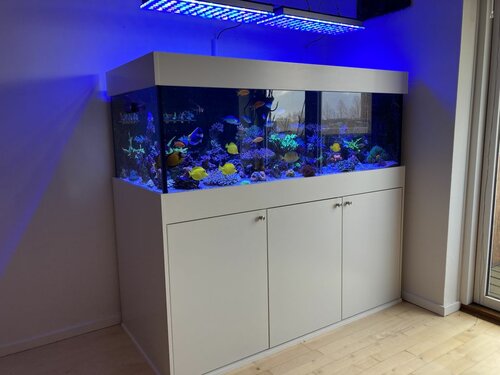 FTS