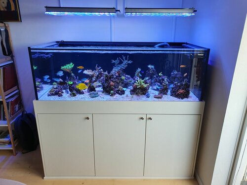 Orphek Atlantik V4 Gen 2