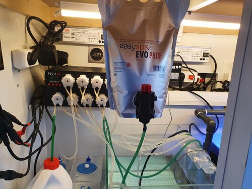 Teknik + EVO Easy SPS (Plakton)