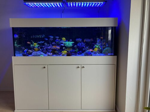 FTS