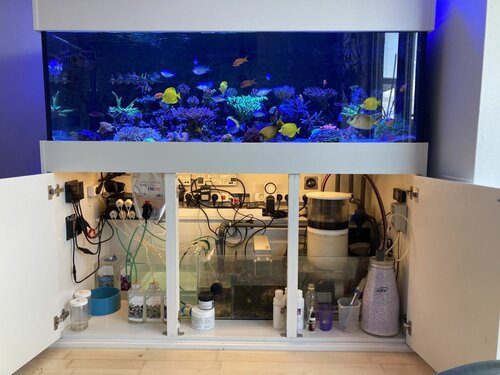FTS