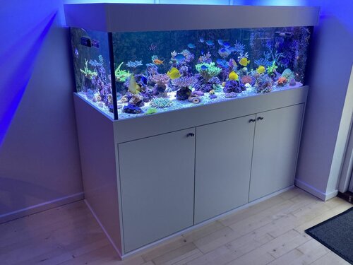 FTS