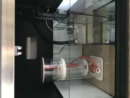 B5ACD514-3416-4DF4-A4F0-DE07CC157269.jpeg