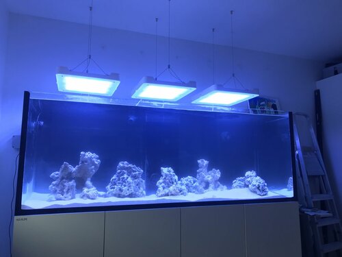 Philips coral Care gen 2.