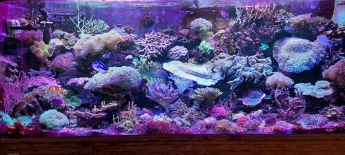 20210730_173343.jpg