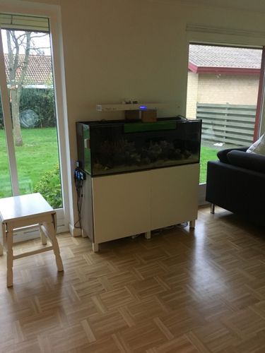 Aller første billede af første akvarie