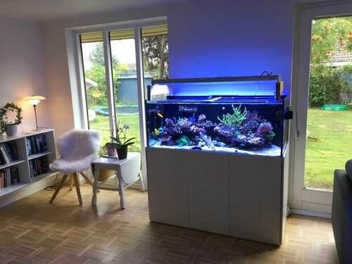 Bedre billede af akvariet nr 2