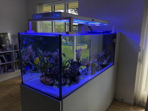 Akvarie nr 3