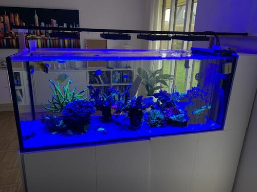 Akvarie nr 3 andet lys