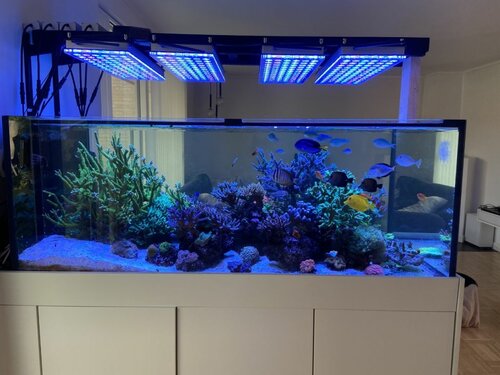 FTS