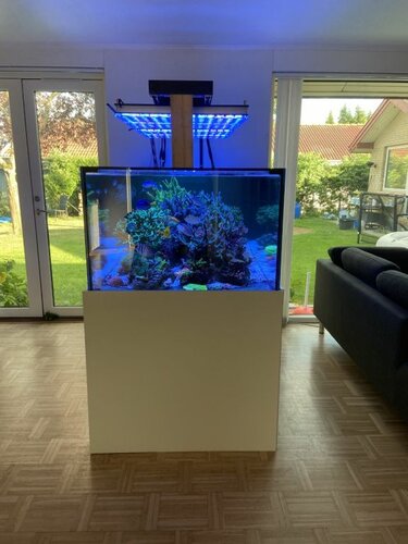FTS