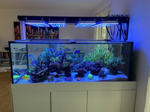 FTS