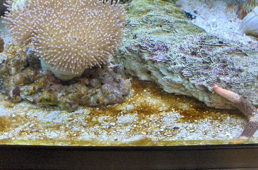 Bundlaget efter ca 3 timers lys