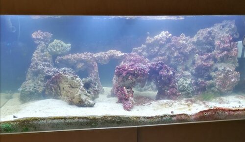 IMG_20210823_215822.jpg