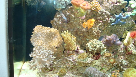 DSC00590.JPG
