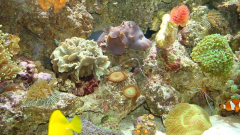 DSC00591.JPG