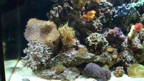 DSC00595.JPG