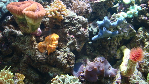 DSC00611.JPG