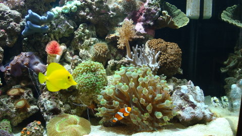 DSC00613.JPG