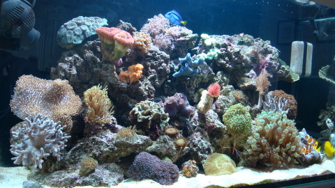DSC00615.JPG