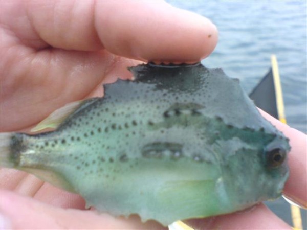 DSC00211 (Small).JPG