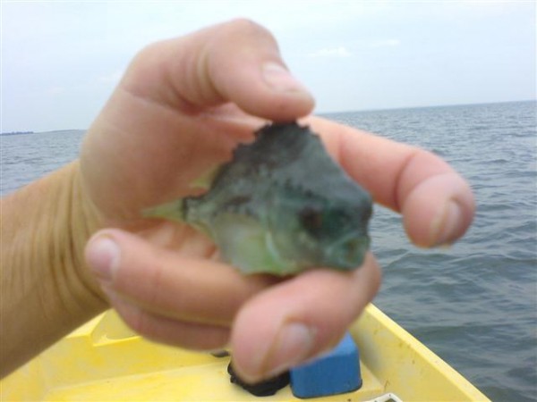 DSC00213 (Small).JPG