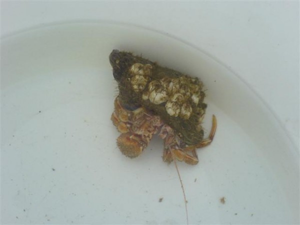 DSC00214 (Small).JPG