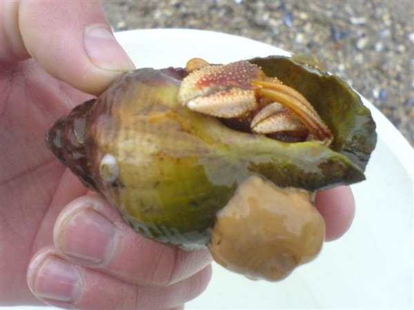 DSC00215 (Small).JPG