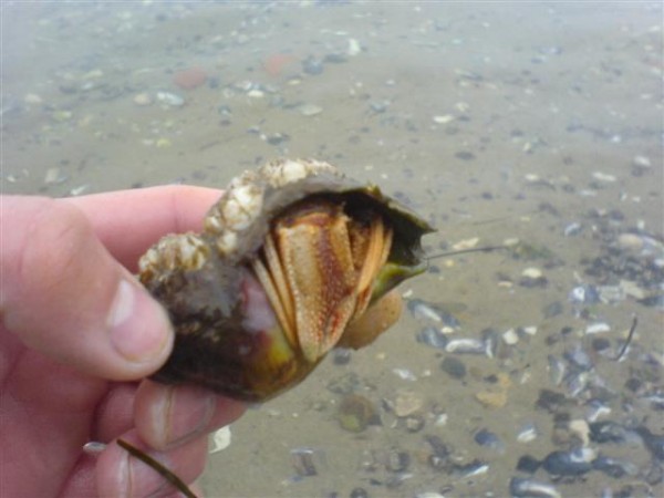 DSC00216 (Small).JPG