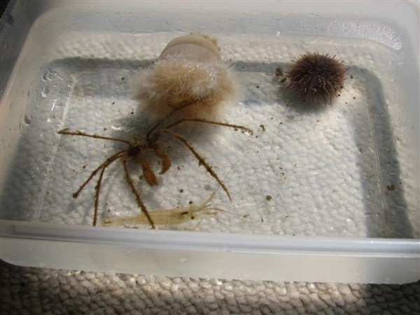 IMG_2890 (Small).jpg