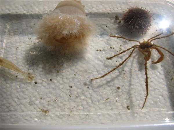 IMG_2891 (Small).jpg