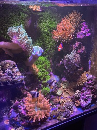 FTS