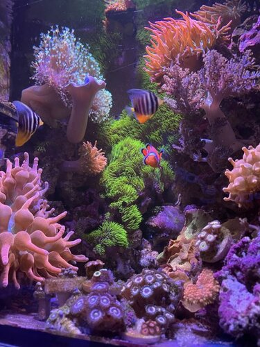 FTS