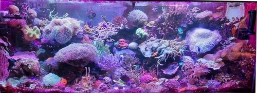 20211223_2021.jpg
