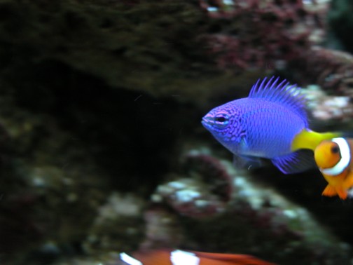 DSCN1660.jpg