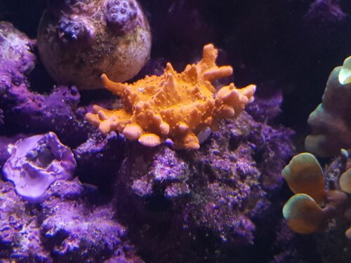 20220114_215634.jpg