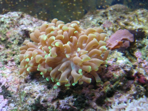 DSCN1663.jpg