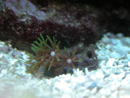 DSCN1658.jpg