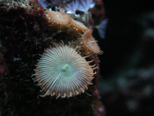 DSCN1641.jpg