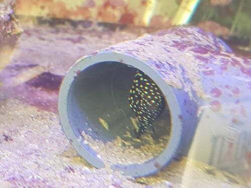 20220512_170307.jpg