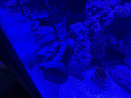 image9.jpeg