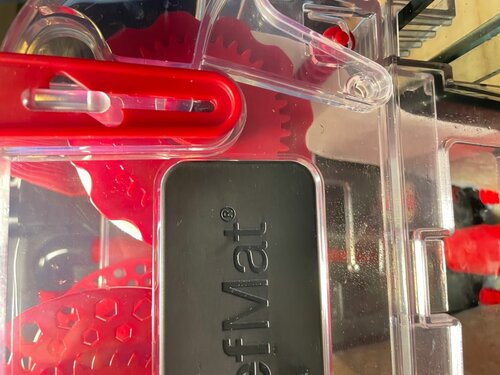 image13.jpeg