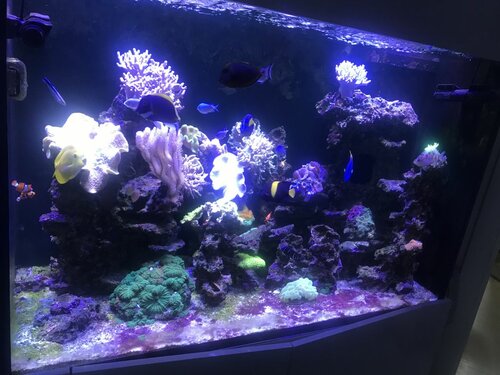 4C895880-5F61-45AC-872E-3F0CA4DA5F61.jpeg (129.05 KiB) Vist 2474 gange Lige et f t s