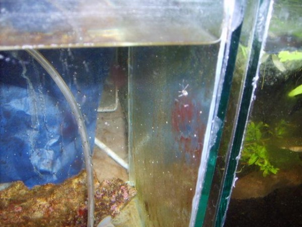 S5000846 (Small).JPG